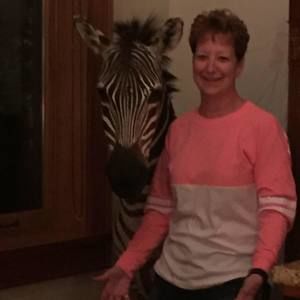 Meet your Posher, Sue